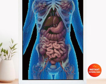 Human Internal Organs Cross Stitch Pattern PDF, Anatomical Torso Anatomy Embroidery Design, Medical Student Wall Art Instant Download
