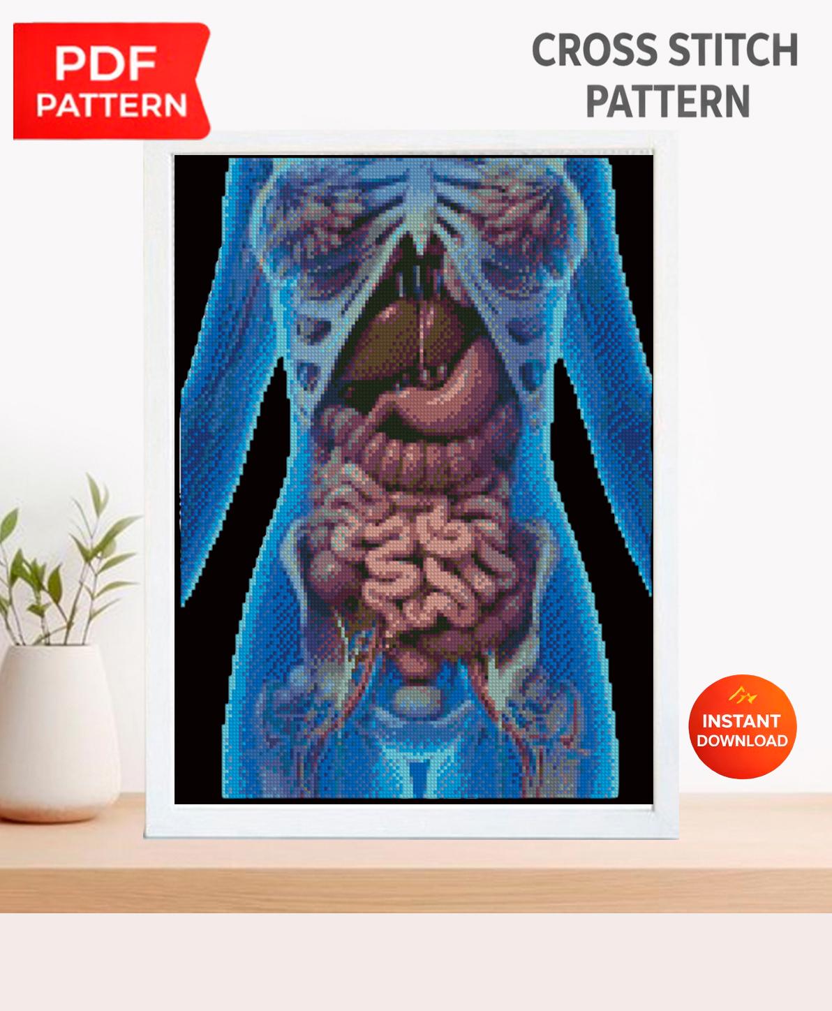 Human Internal Organs Cross Stitch Pattern PDF, Anatomical Torso ...