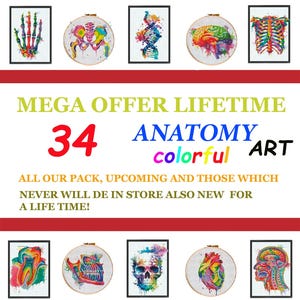 MEGA OFERTA DOŻYWOTNIA, Wyprzedaż, dostęp do wszystkich wzorów ściegów krzyżykowych, teraźniejszość i przyszłość, Pakiet specjalny, Dostęp dożywotni, natychmiastowe pobieranie