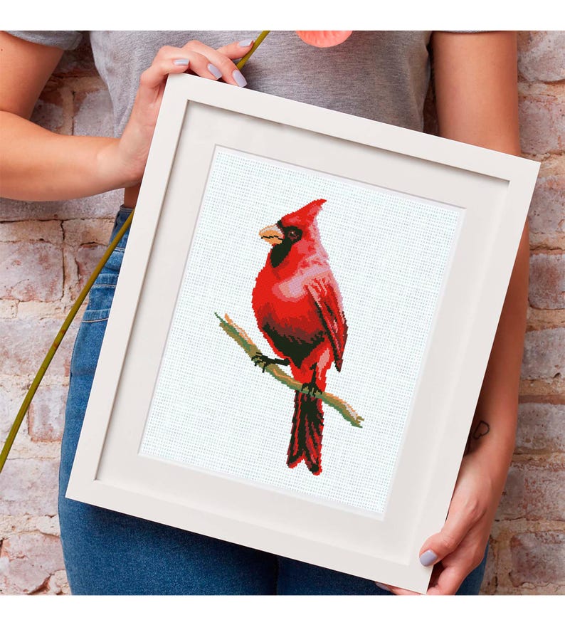 May include: A framed cross-stitch of a vibrant red cardinal bird perched on a branch. The bird has a black beak and is set against a white background. The frame is white.