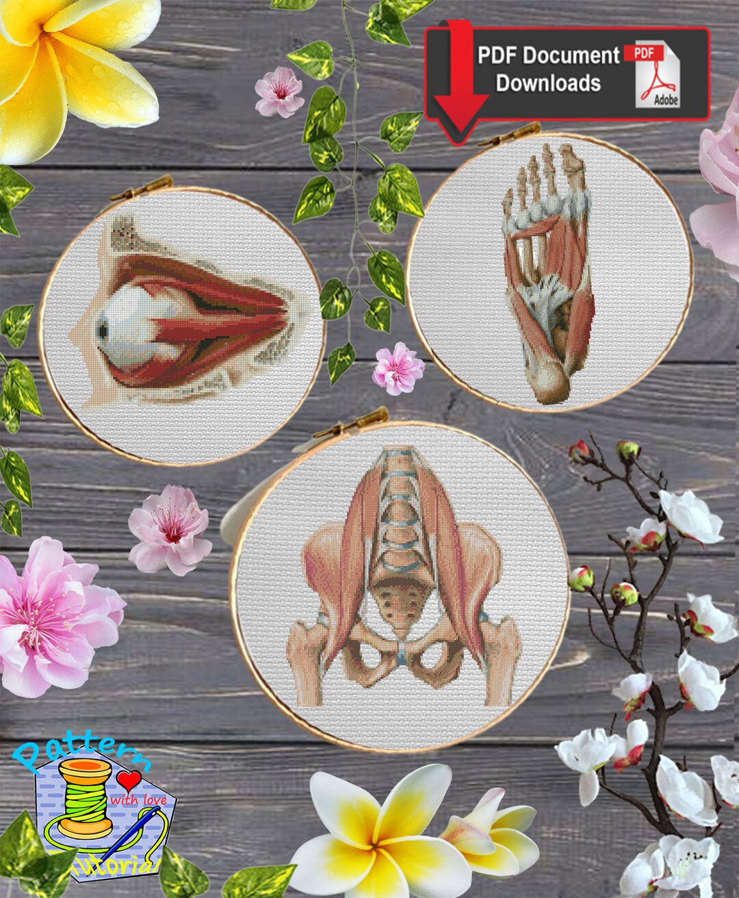 KITS Anatomy 121 Eye, Foot, Hip Structure Counted Cross Stitch Pattern ...