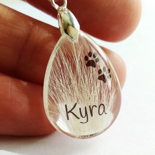 Pet Hair Keepsake Photo Pendant Lock of Hair Jewellery Etsy