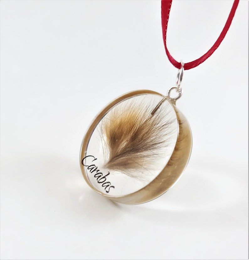 Hair Keepsake Jewellery Pet Memorial Locket Dog Loss Gift Etsy