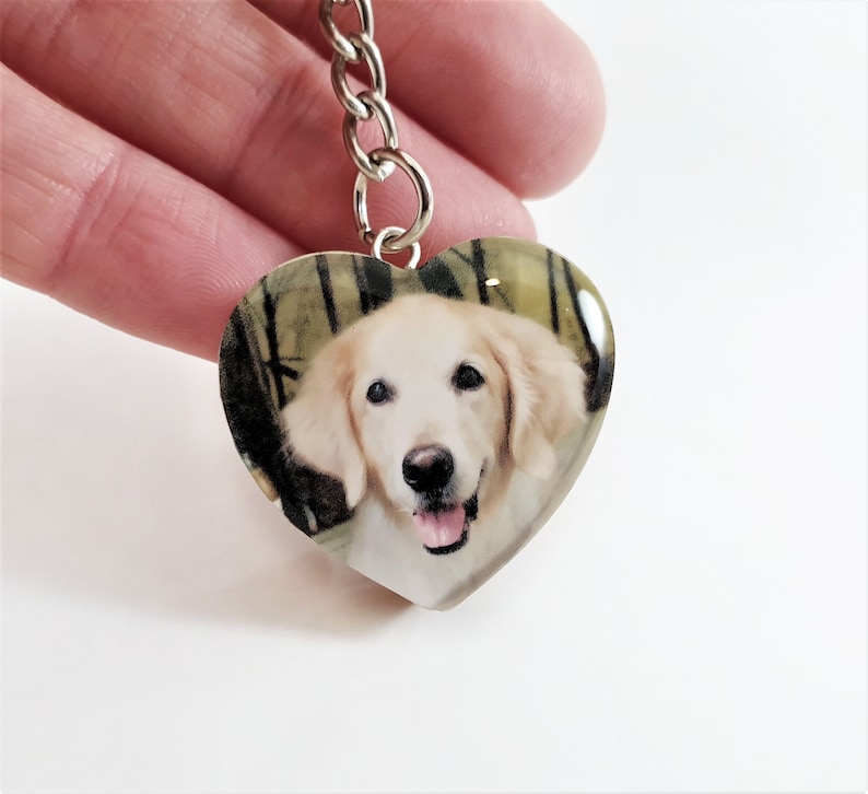 Pet Hair Keepsake Photo Pendant Lock of Hair Jewellery Etsy UK