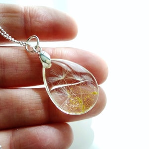 May include: A silver chain necklace with a teardrop-shaped pendant containing a preserved dandelion seed head. The pendant is clear and shows the delicate white seeds and golden pollen.