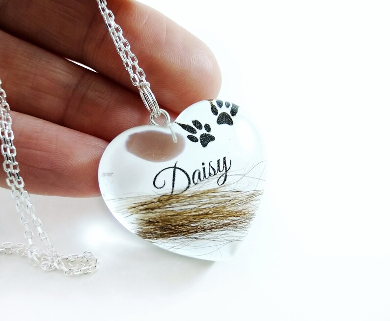 Personalised Pet Hair Locket Memorial Heart Pendant with Name Etsy