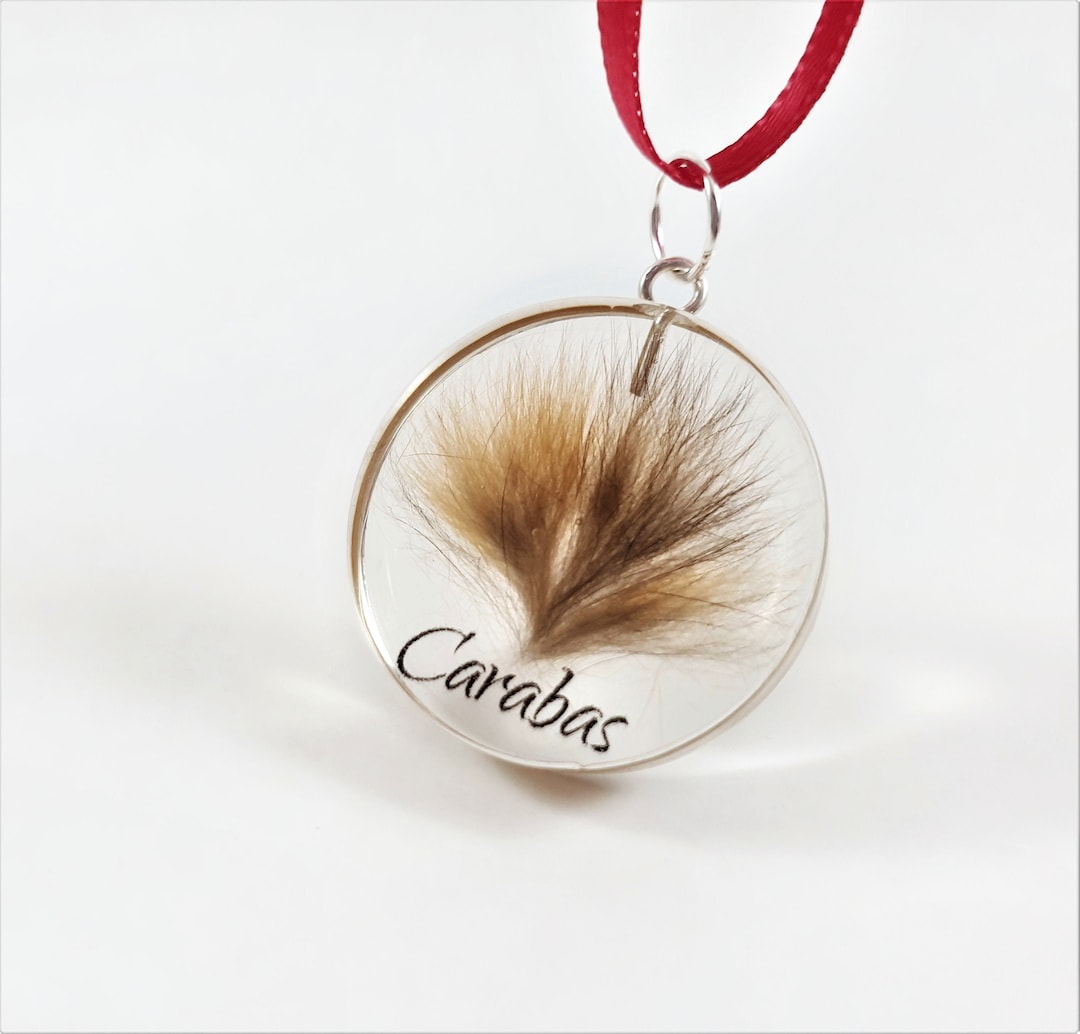 Hair Keepsake Jewellery Pet Memorial Locket Dog Loss Gift Etsy