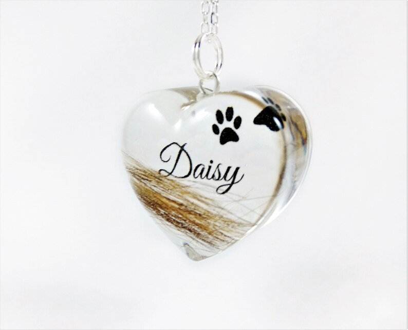 Personalised Pet Hair Locket Memorial Heart Pendant with Name Etsy