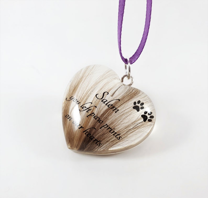 Pet Hair Keepsake Necklace You Left Paw Prints on My Heart Etsy