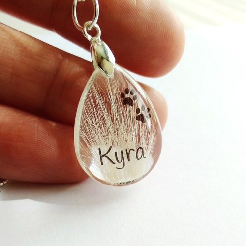 Pet Hair Keepsake Photo Pendant Lock of Hair Jewellery Etsy
