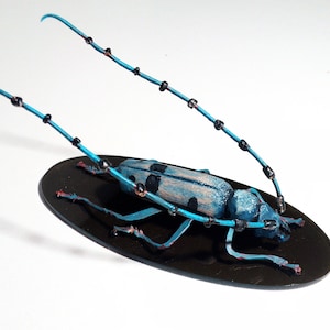 Beetle collectible, handmade beetle, gift for insect lover, bug lovers, longhorn beetle, beetle species, beetle collection, bug figurine