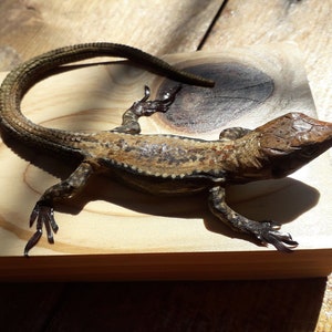 escultura de lagarto de madeira, estátua de lagarto feita à mão, tamanho natural, arte animal, arte em madeira, presente para amantes de lagartos, pré-encomenda