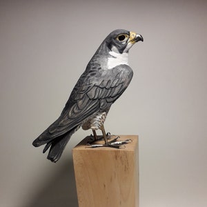 Hand-Carved Wooden Peregrine Falcon Figurine: Bird Art Sculpture