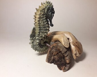 木製手彫りタツノオトシゴ彫刻、精巧な海の生き物、自然主義的な置物