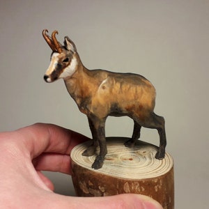 Chamois sculpture, wooden chamois, animal carving, handmade chamois, mountain goat, animal gift, chamois figurine, animal collectible image 6
