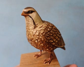 Hand Carved Caucasian Snowcock Sculpture, Detailed Bird Art, Wildlife Species for Bird Lovers, Item for Birdwatcher