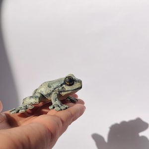 May include: A small, detailed frog figurine in shades of gray and green rests on a hand. The frog has large, dark eyes and is positioned as if it is about to jump. The background is plain white, with a shadow of the hand and frog visible.