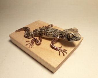 Hand-Carved Wooden Gecko Sculpture, Caspian Bent-Toed Lizard Art, Characteristic Animal Figurine, Unique Detailed Art