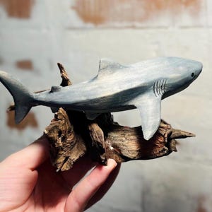 ホホジロザメの彫刻、コレクターへの贈り物、誕生日用の木製サメの置物