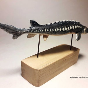 Figura de madera de esturión, escultura de pez, animal coleccionable, estatua de pre-pedido, regalo para amantes de los animales, estatua de decoración del hogar, arte de madera