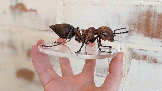 Figurine de fourmi, cadeau pour les amateurs d'insectes, sculpture ...