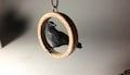 Wooden Raven Pendant, Halloween Crow Ornament, Gift for her, Birthday Gift Ideas, Crow Sculpture, Raven Necklace, Crow Collection, product logo