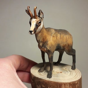 Chamois sculpture, wooden chamois, animal carving, handmade chamois, mountain goat, animal gift, chamois figurine, animal collectible image 7