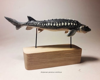 Hand-Carved wood Sturgeon Fish Sculpture, Hand-Painted Animal Art, Collector's Figurine, Sturgeon Home Decor