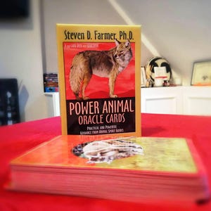 Power animal Oracle tarjetas pronóstico lectura e interpretación (pregunta específica o palabras generales de sabiduría)
