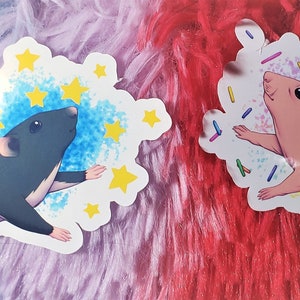 Rattie Sisters Sticker Set | Bald Rat | Fancy Rat | Pet Rats