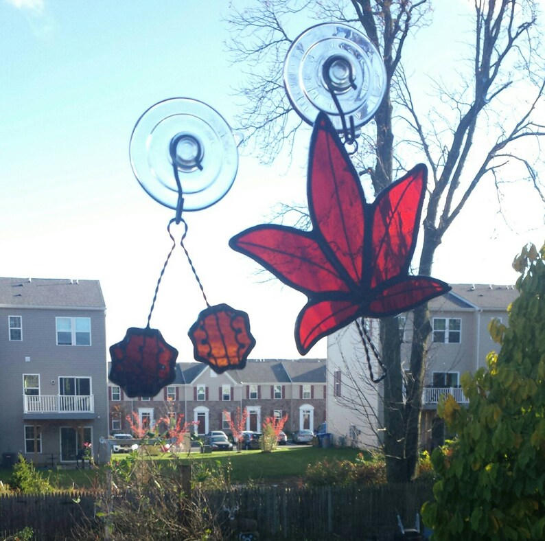 Stained Glass Leaves Autumn Leaves Fall Leaves Sweet Gum Etsy