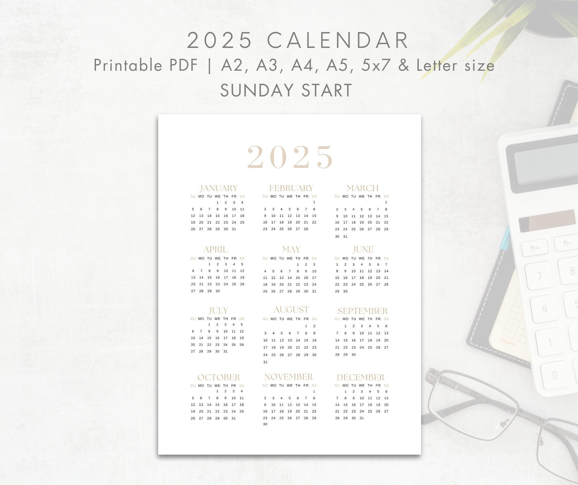 2025 Year Calendar Printable, SUNDAY Start, Year Overview 2025, One Page Calendar, Minimalist