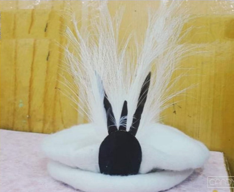 Traditional Pakol hat pakol cap tribal hat tribal cap Wool Hat Wool Cap Chitrali Cap With Feather Chitrali Hat paksitan wool cap wool hat