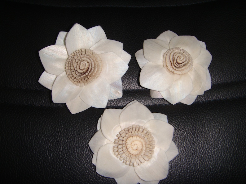 Sola Wood Flower Protiya Middle Skin Corner Shape For 100 flowers MOQ 10 in mixing quantity