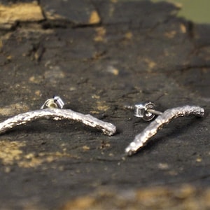 Pendientes trepadores plateados inspirados en la naturaleza, detalle de rama de pino (unisex)