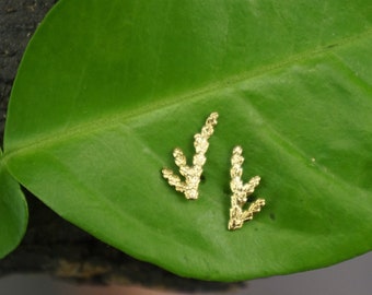 Juniper.Tiny Solid Gold Stud Earrings, Minimalist cypress Leaf Earrings for Men and Women. Everyday 18k-14k-9k Gold Jewelry