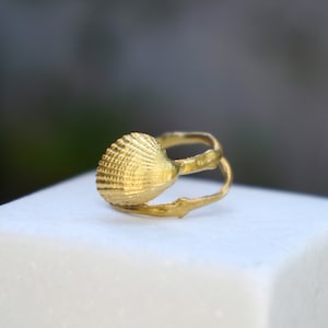 Solid Gold Twig & shell Summer Rings for Women, Real Sea Shell in 22k-18k-14K-9k Gold and Tree twig.