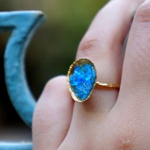 Minimalist Handmade Nature Jewelry. ring Turquoise, Light blue jewelry sets,Summer jewelry,Silver Limpet Shell Gold plated .