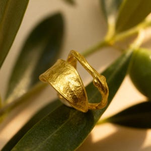 May include: A gold ring featuring a textured, organic leaf-like shape on one side and a slender, branch-inspired band on the other. The metal surface has a matte, hammered finish, creating a distinct contrast between the wide, flat element and the thin, rounded band structure.