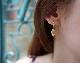 Small Rose plant leaf Earrings in sterling Silver or Gold plated on it . Roses are ancient symbols of Love and Beauty.