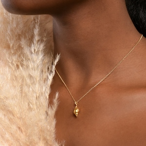 Sea shell Pendant with chain necklace. Tiny shell in goldplated sterling silver. Symbol of evolution, protection of life and longevity.