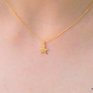 Real Tiny starfish necklace 18K Gold plated on sterling silver.