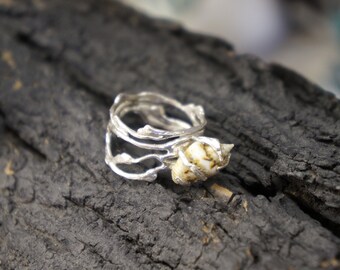 Minimalist Handmade Nature Jewelry. ring Jasmine Twig Ring, Real Sea Shell on Sterling Silver 925 Ring.