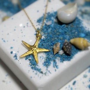 Starfish Gold Necklace Jewelry, Beach, Summer Jewelry,symbolizes the 5 elements. Earth, Air, Water, Fire, Spirit.