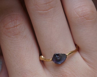 Gold and Black Dainty Sea Shell on twig sterling silver Ring for women.Minimal style by Mother Nature Jewelry Symbolize evolution,longevity