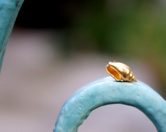 Solid Gold Sea Shell Stud Earrings, Real Gold 18k,14K,9k Real Shell Earrings,Small Summer Inspired Earrings by Mother Nature Jewelry.