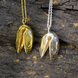 Real Pistachio Nut Pendant Necklace: Sterling Silver, Gold Plated