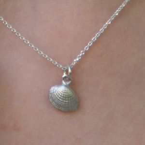 Silver Necklace with Real Sea Shell Pendant on Sterling Silver Chain - Tiny 925 Design