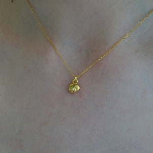 Dainty minimal Sea Shell chain Necklace on Goldplated Sterling silver.