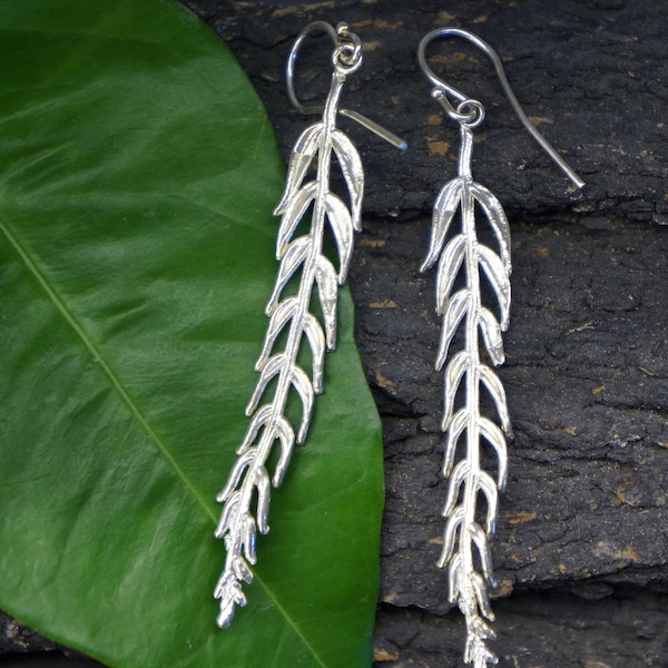 REAL Araucaria Leaf earrings in Sterling Silver, Unusual Long earrings from Mother Nature jewelry.